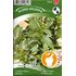 Mynta, Peppar-
