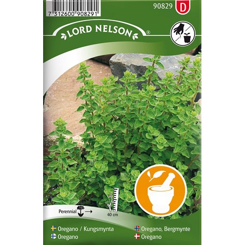 Oregano, Kungsmynta