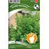 Oregano, Kungsmynta