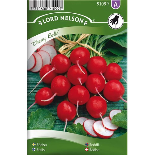 Rädisa, Cherry Belle, rund