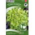 Sallat, plocksallat, Plezir, Organic