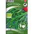 Rucola / Sandsenap, Organic