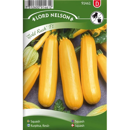 Squash, Soleil F1, gul