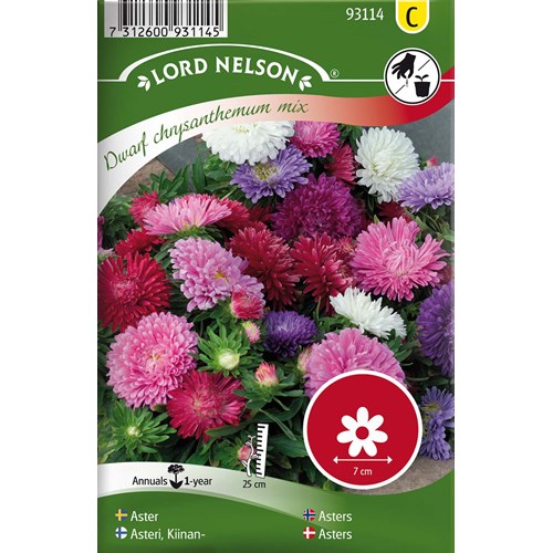 Aster, Dvärg, bl färger