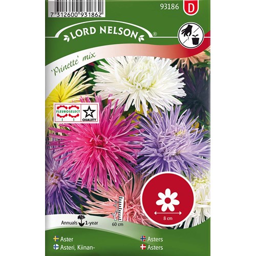 Aster, Strål-, Prinette, bl färger