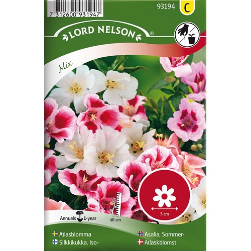 Atlasblomma, bl färger
