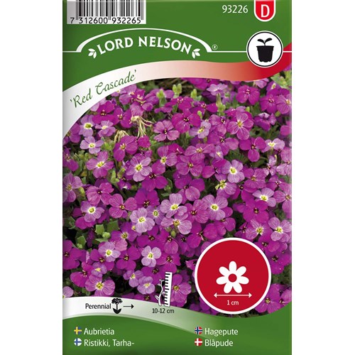 Aubrietia, Red Cascade