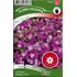 Aubrietia, Red Cascade