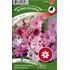 Mix, Sommarblommor, rosa