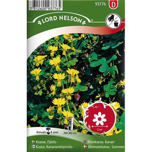 Krasse, Fjärils-, gul