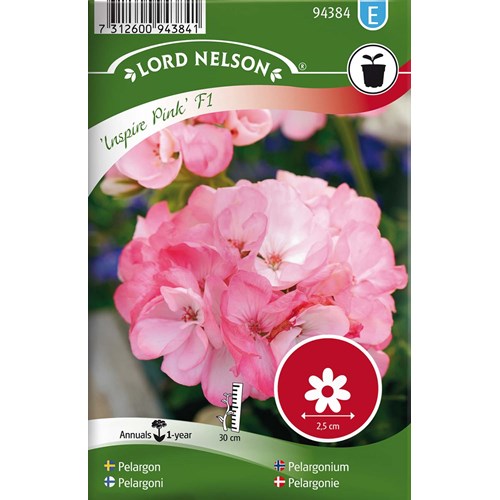 Pelargon, Inspire Pink F1, rosa
