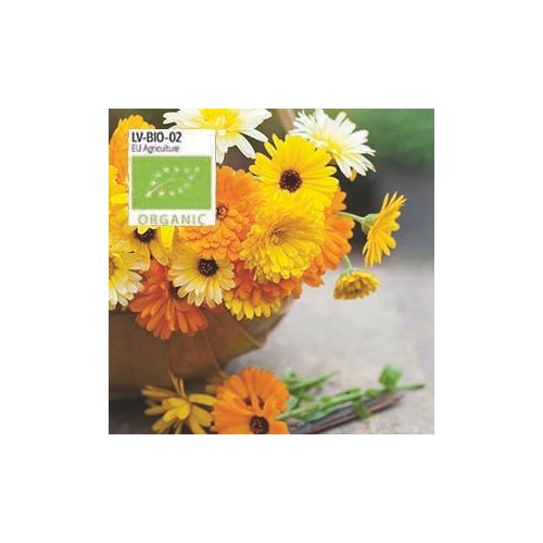 Ringblomma, blandade färger, Organic