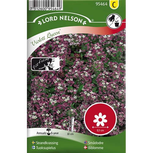 Strandkrassing, Violett Queen