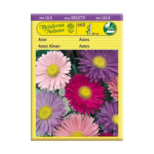 Aster, enkel, blandade färger