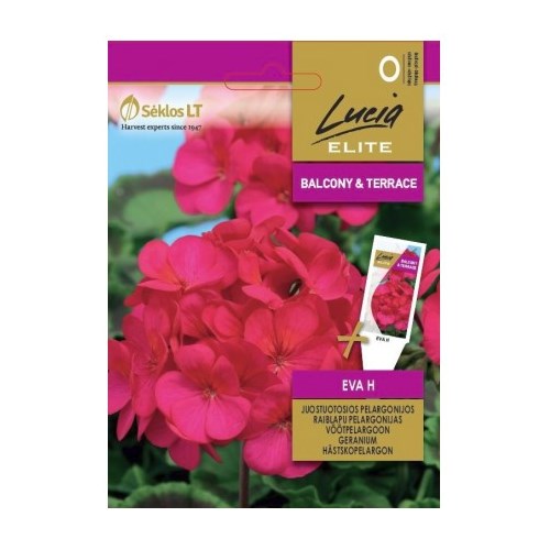 Pelargon, Hästskopelargon, Eva