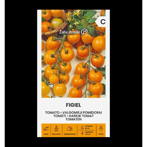 Tomat, Figiel