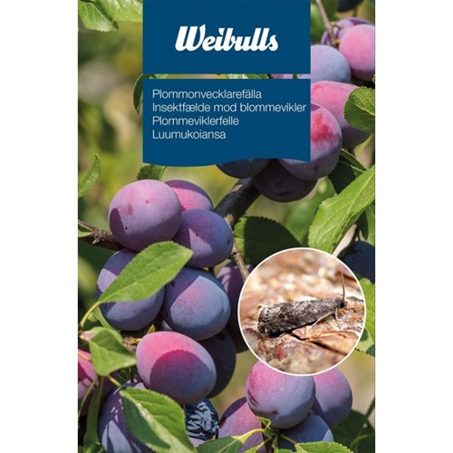 Fälla, Plommonvecklare