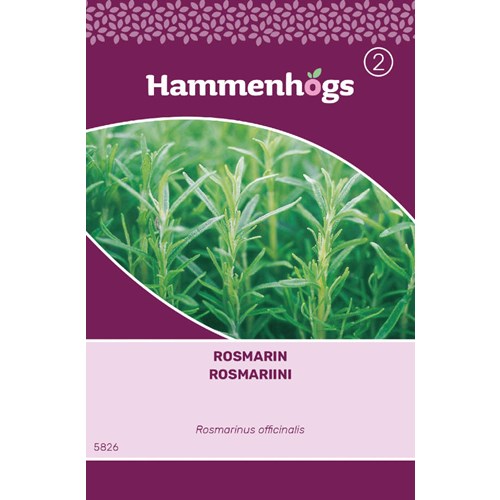 Rosmarin