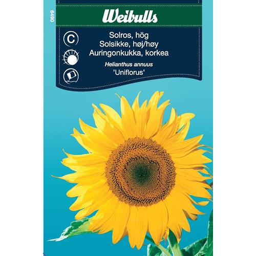 Solros, Uniflorus