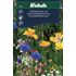 Fjärilsblommor, blandade sorter