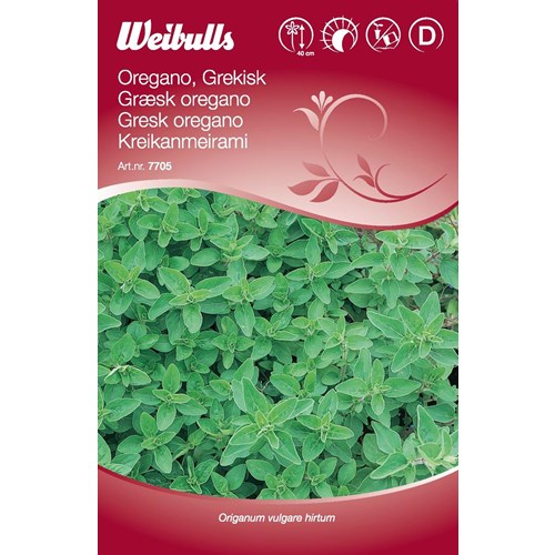 Oregano, grekisk