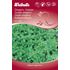 Oregano, grekisk