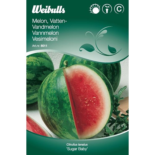 Melon, vattenmelon, Sugar Baby