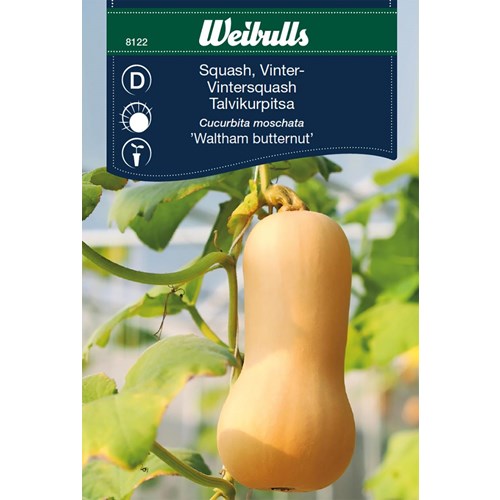 Squash, vinter, Butternut Waltham