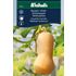 Squash, vinter, Butternut Waltham