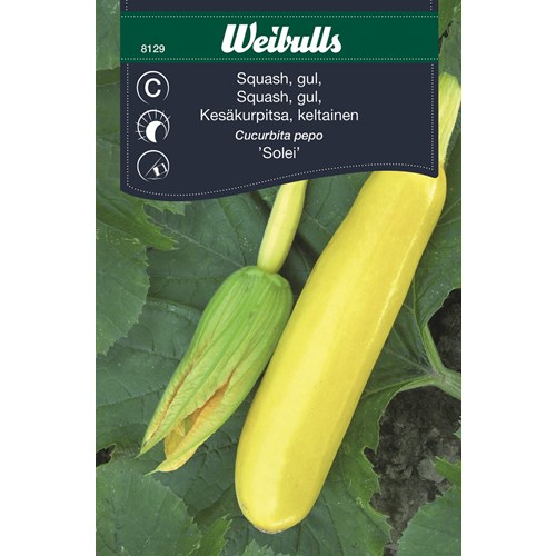 Squash, gul Solei