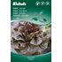 Sallat, roman, Ovired