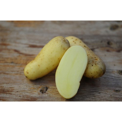 Sättpotatis, Amandine, 1 kg