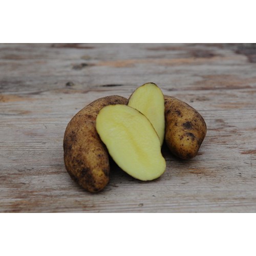 Sättpotatis, Mandel, 1 kg