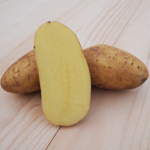 Sättpotatis, Annabelle, 1 kg