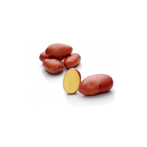 Sättpotatis, Rosara, 1 kg