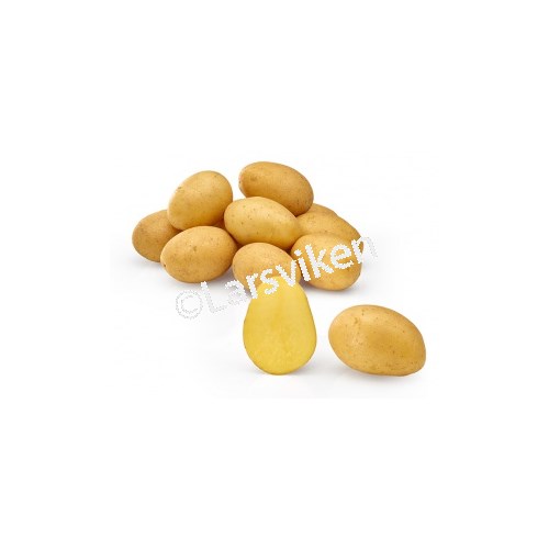 Sättpotatis, Baby Lou, 1 kg