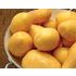 Sättpotatis, Marabel ,eko, 1kg