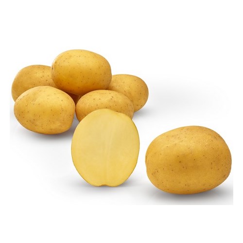 Sättpotatis, Pocahontas, 1 kg