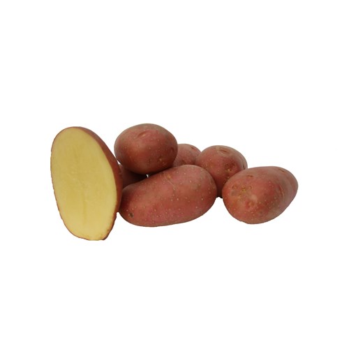 Sättpotatis, Alouette, 1 kg, EKO