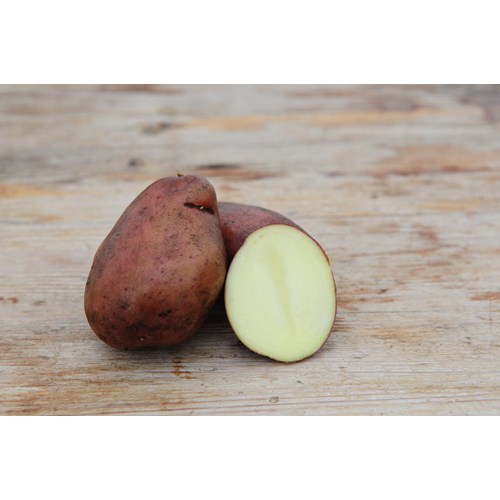 Sättpotatis, Sarpo Mira, 1kg