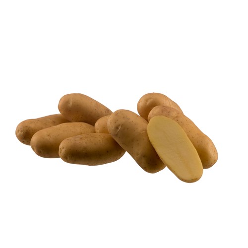 Sättpotatis, Ditta, 1 kg
