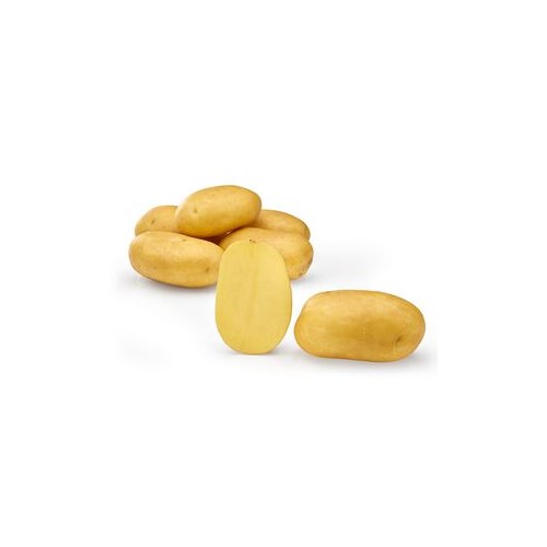 Sättpotatis, Lea, eko, 1 kg