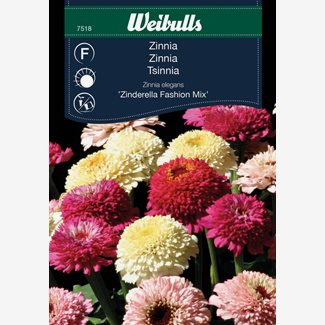 Zinnia, Zinderella Fashion mix