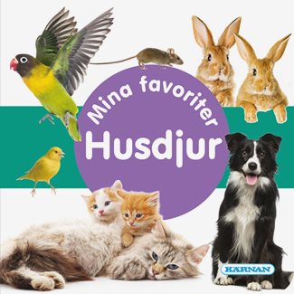 Pekbok, Husdjur