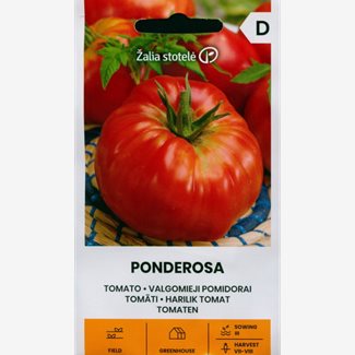 Tomat, Ponderosa
