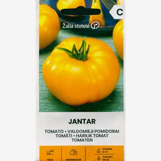 Tomat, Jantar