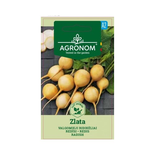 Rädisa, Zlata