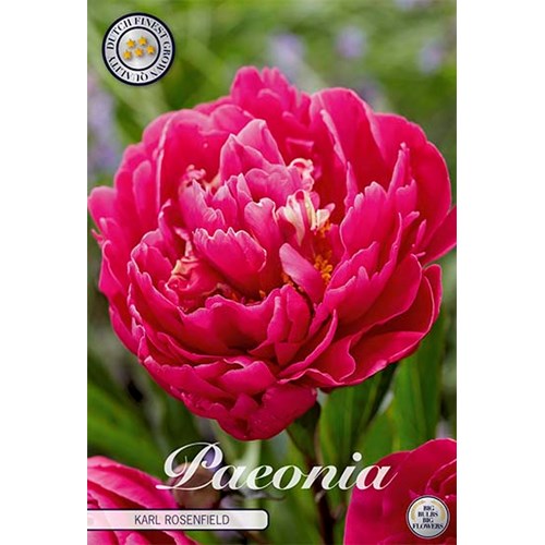 Pion, Karl Rosenfield