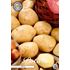 Sättpotatis, Bintje, 10 st