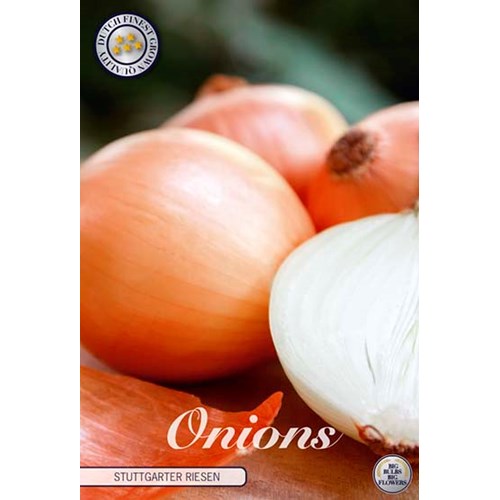 Gul lök, Stutgarten Rieser, 250 gram